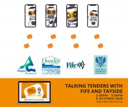 Through Talking Tenders webinars, the Supplier Development Programme
