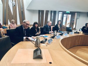 Gillian Cameron, SDP Programme Manager, gives oral evidence to the Scottish Parliament.